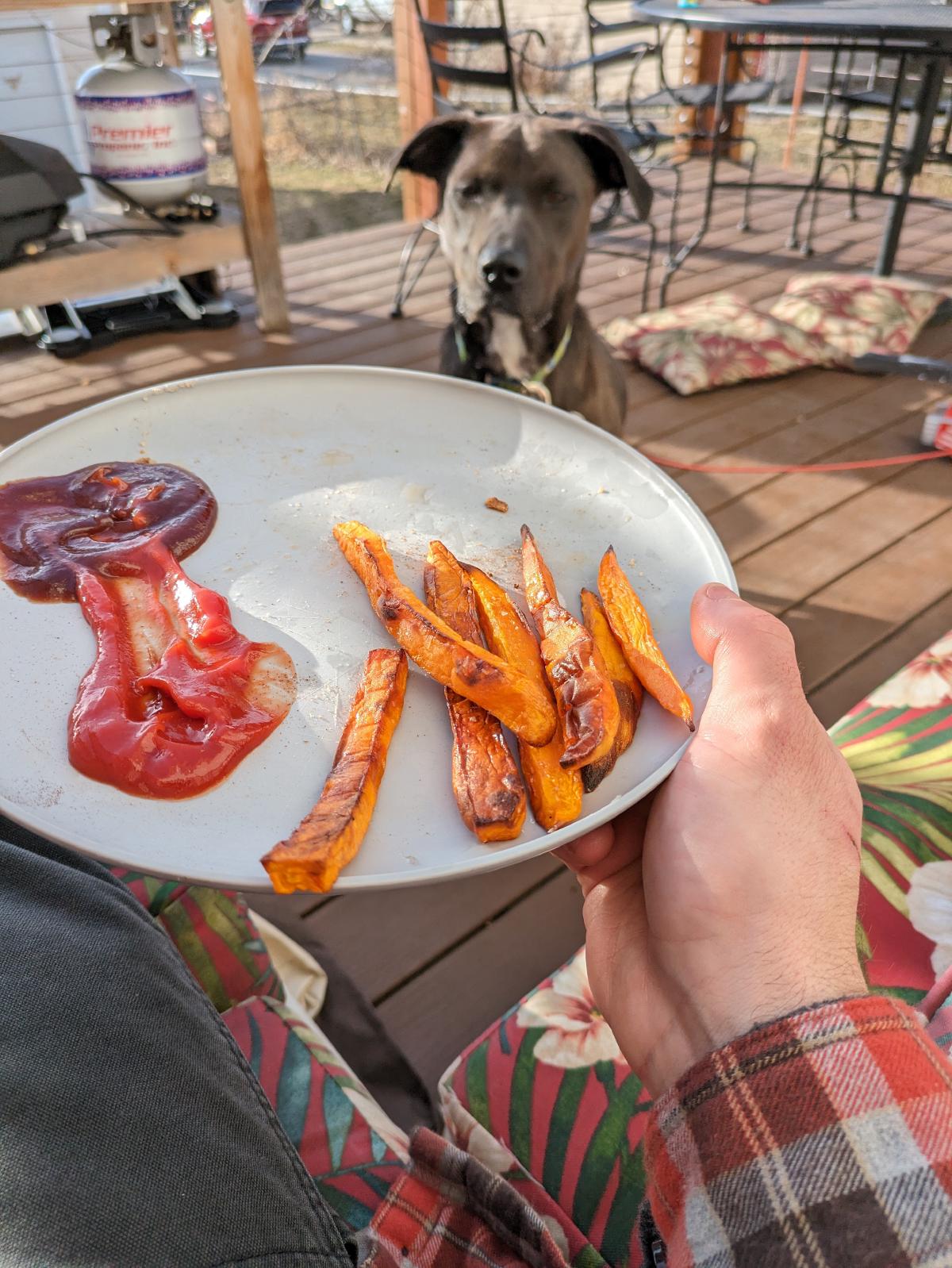 Sweet Potato Fries